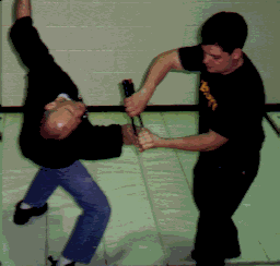 tr22.gif tr22.gif