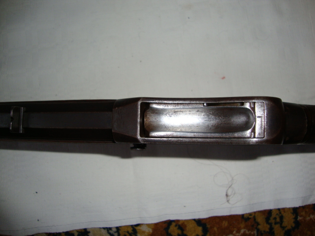DSC00682.JPG
