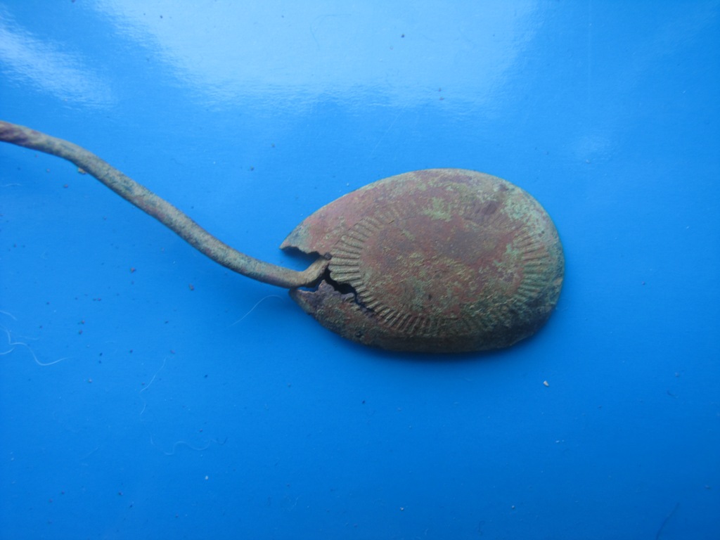 IMG_0408.JPG IMG_0408.JPG